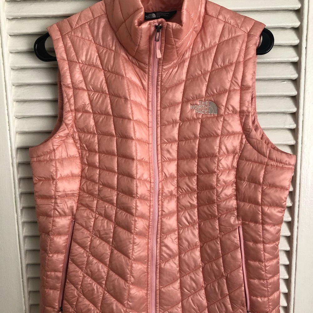 The north face vest